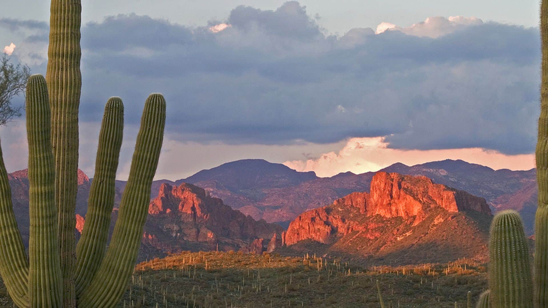 arizona-truck-driving-schools-roadmaster-drivers-school